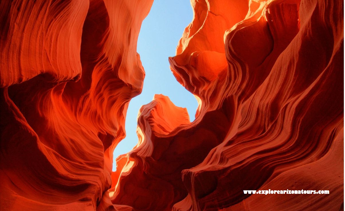 11 Pemandangan Paling Terkenal di Arizona yang Perlu Anda Lihat Setidaknya Sekali