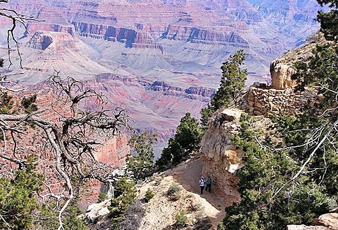 Tur Alam dan Margasatwa Taman Nasional Grand Canyon