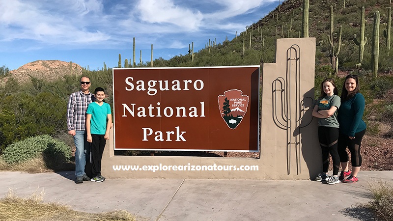 Hal yang Dapat Dilakukan di Taman Nasional Saguaro Arizona
